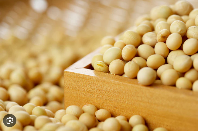 Ontario-grown soybeans