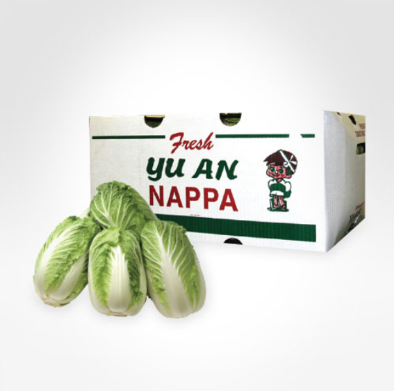유안농장 배추 반박스